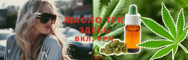 гидра Вязьма