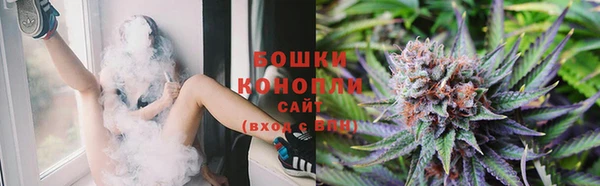 гидра Вязьма