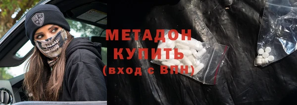 гидра Вязьма