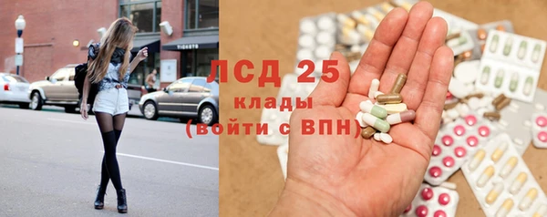 шишки Вяземский