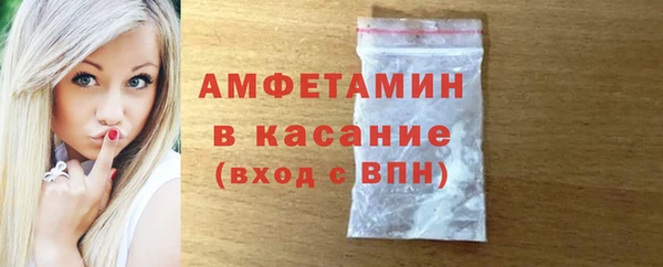 гидра Вязьма