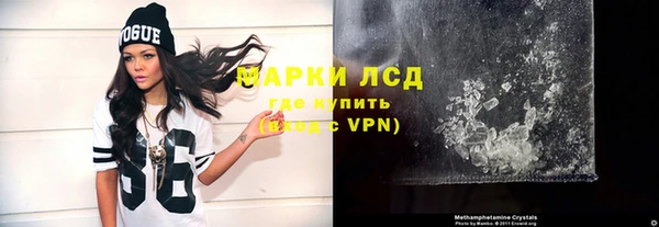 гидра Вязьма