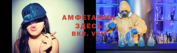 гидра Вязьма