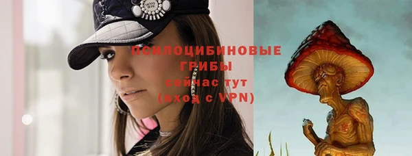 шишки Вяземский
