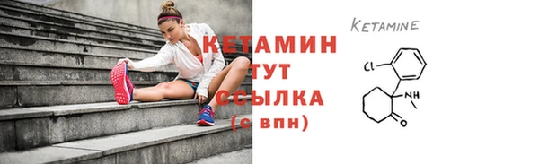 гидра Вязьма