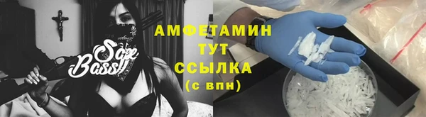 шишки Вяземский
