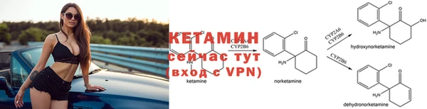 гидра Вязьма