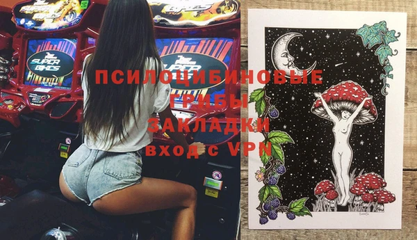 шишки Вяземский